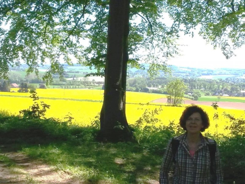 20180506_145424_komp