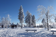 Braunlage 2019