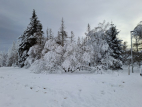 Braunlage