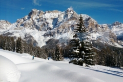 Campitello-2014