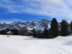IMG_20200216_133251