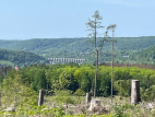 PHOTO-2022-05-15-15-14-18