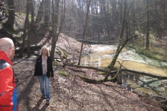 Sonntagswanderung im Furlbachtal