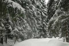 Ski- und Wanderwochenende im Harz