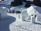 IMG_1164 (1)