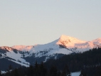 IMG_4220 (1)