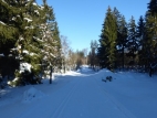 P1020020